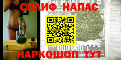 спиды Кинель